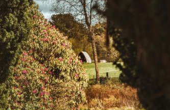 Tempo Manor Cabins - Foto 17