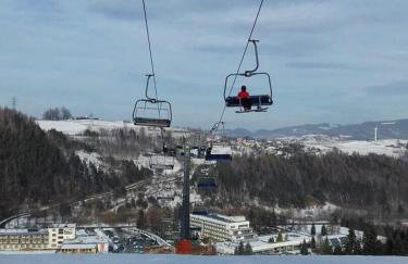 Willa Rytro dom wakacyjny w górach do wynajęcia na wyłączność dla 15 osób - Foto 12