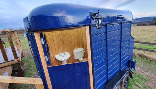 Bertha's Box - Foto 3