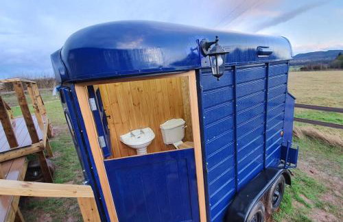 Bertha's Box - Foto 3