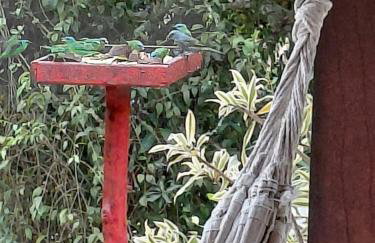 Casa de Campo em Teresópolis - Foto 76