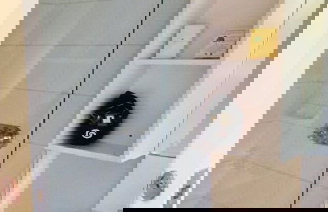 Bush Inn Court Motel - Foto 40