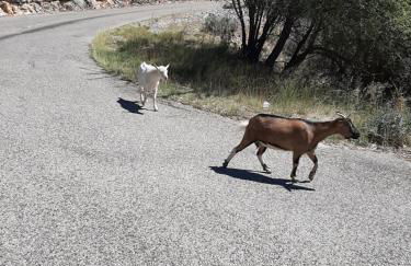 Bastide du Barry - Centre historique de Vallon Pont d'arc - Foto 47