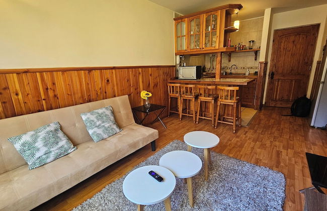 Oceana Suites Parque Suizo - Foto 9