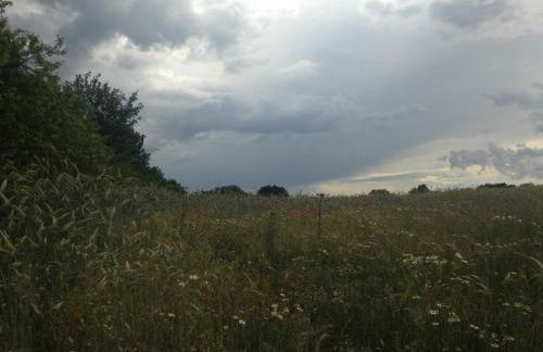 Ferienwohnung Mohnblume - Photo 35