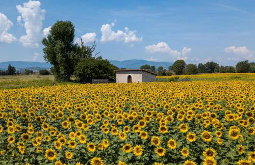 Casa di Led - Foto 3