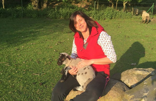 Ferienhaus in Neu Poserin for 5 Personen - Foto 28