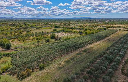 Rural Villa Olive Krka- 4 bedrooms, 3 bathrooms, private pool, park Krka 10 min - Foto 45