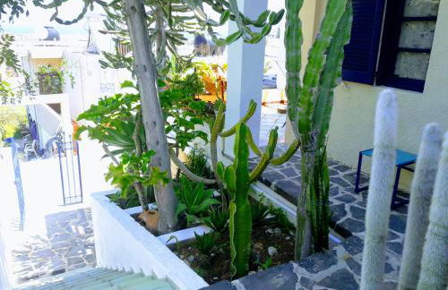 Sissi View - Photo 29