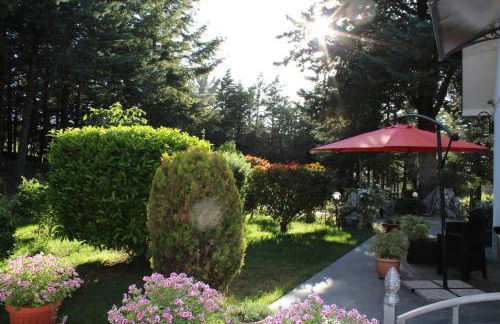 Le Conifere - Foto 18