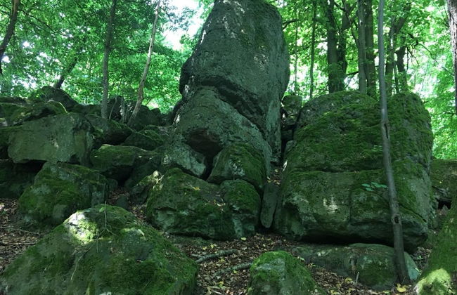 Cozy Apartment in Ellar With Garden - Foto 52