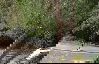 Elviria 2-bed Apt, Sleeps 4, Pool, 20m to Beach - Foto 24