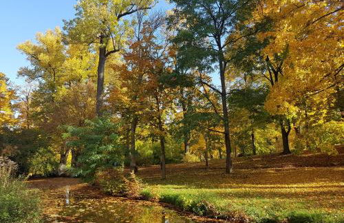 Villa am Park - Foto 53