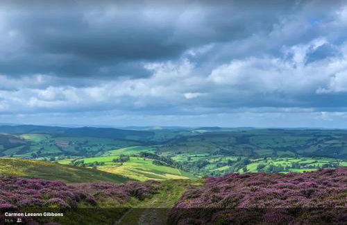 Pant yr onen holidays - Photo 71