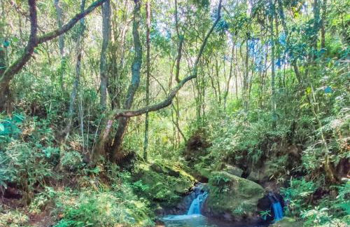 Pousada Suçuarana - Photo 25