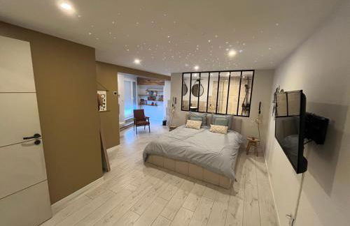 La Verrière Berges du Tarn - Centre historique - Foto 16