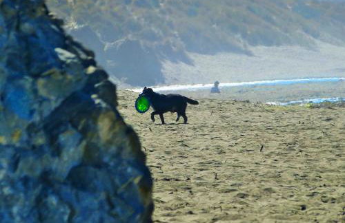 Sea Breeze! Walk to Beach!! In the Village! BBQ! Fast WiFi!! Dog Friendly! - Foto 9