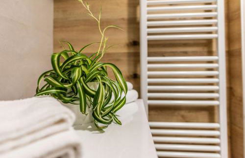 Fiore del Brenta 1 a 50 m dalla fermata dello skibus gratuito - Foto 36