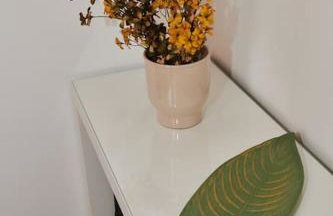 Florina Modern Studio - Foto 10