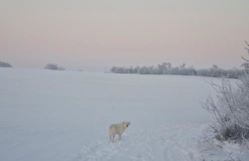 Naturcamp am See - Foto 15