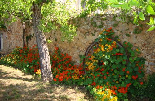 Agroturisme Son Pons - Foto 42