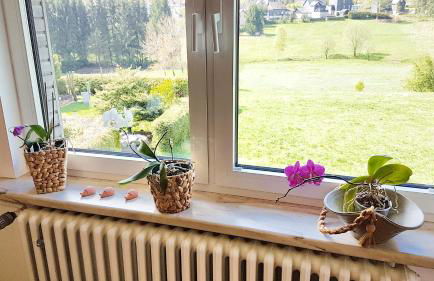 Monis gemütliche Ferienwohnungen - Foto 80