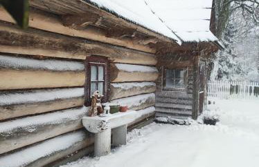 Gniazdo w Felicjanowie - Foto 80