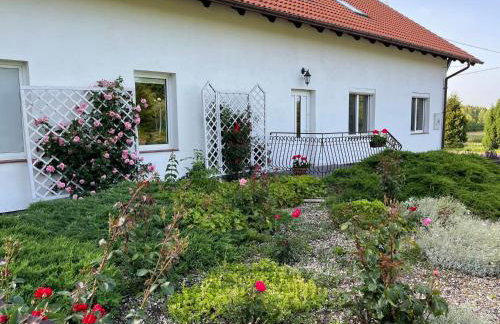 Gospodarstwo Agroturystyczne Zasadkowe Bory - Foto 31