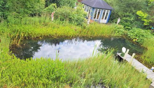 Ferienwohnung im Gartenparadies - Foto 5, Garden view
