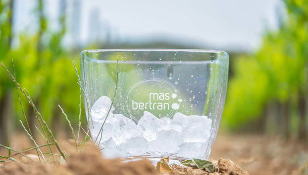 Visita a la bodega Mas Bertran - Foto 5, Una champanera en los viñedos de Mas Bertran