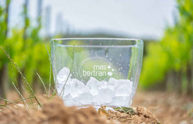 Visita a la bodega Mas Bertran - Foto 5