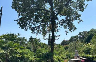 Apartments Penko Lovran - Photo 49