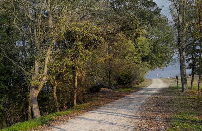 Agriturismo Ben Ti Voglio - Foto 23