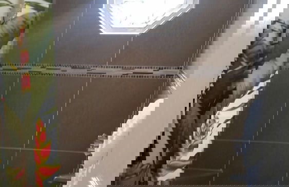 Oasis at Oaklands - Foto 15