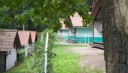 Waldidylle - Bungalows an der Talsperre Kriebstein - Foto 3