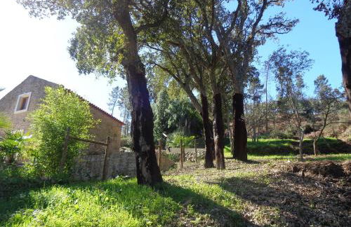 Oak Cottage - Foto 24