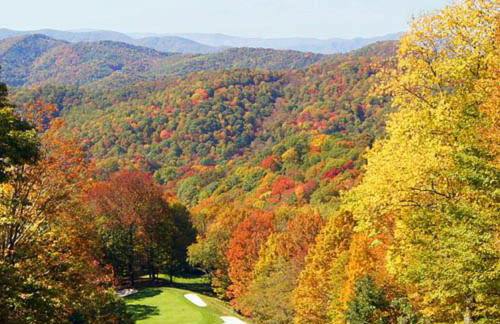 Timber Ridge Retreat - Foto 44