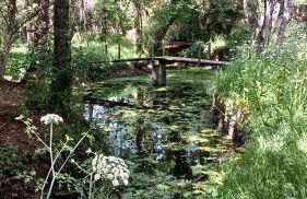 Quinta de Maderne - Foto 55