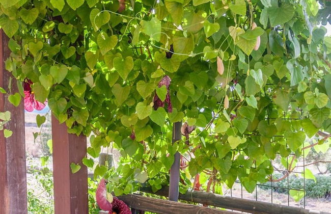 Agriturismo Cuaddus e Tellas - Foto 20