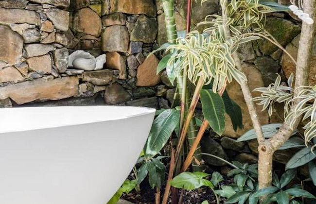 Buhwi Bira Byron Bay Studio - Central - Photo 15