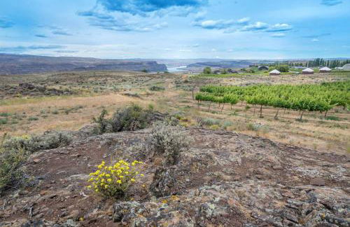 DeWine Sundowners Lakehouse at the Gorge - Foto 27