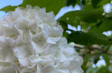 Ferienhaus Seemöwe - Foto 42