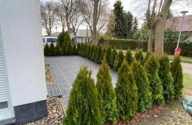 Haus Annelie FEWO 1 EG - Photo 13