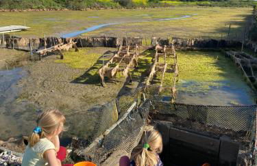 La Fleur des Marais - Maison tout confort au calme, grand jardin & balançoire - Foto 36