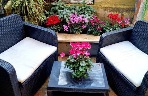 CMHouseLove Roma Alessandrino vicino metro C - Foto 9