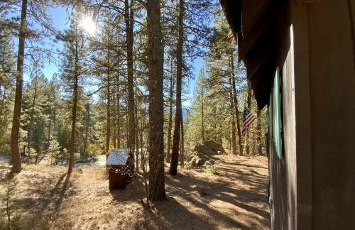 Mint Chip Cabin by Casago McCall - Donerightmanagement - Photo 13