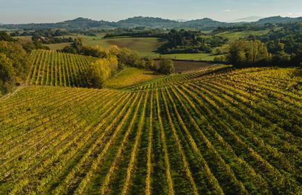 Agriturismo San Gregorio - Foto 3