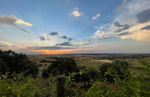 El encinar de Gabino - Foto 11