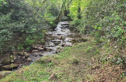 Swn Y Nant Lodge with hot tub Brecon - Foto 20