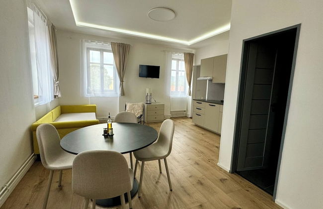 Family Apartments Černice - Foto 24